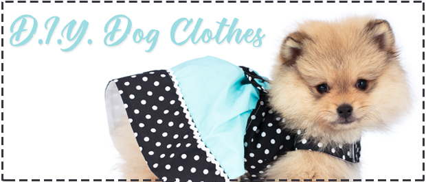 DIY Dog Clothes  5 Easy Dog Outfit Ideas  Cotton Creations