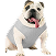 menu-image-pets